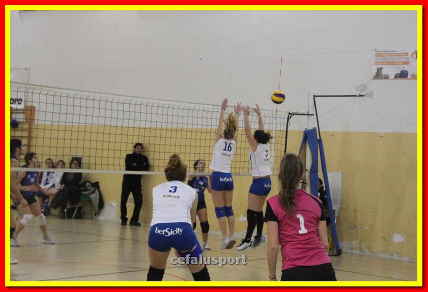 140305 Primula 146_tn.jpg